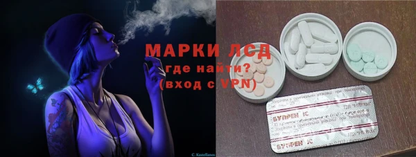 PSILOCYBIN Навашино