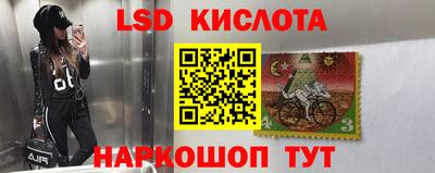 гидропоника Балахна