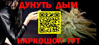 индика Будённовск