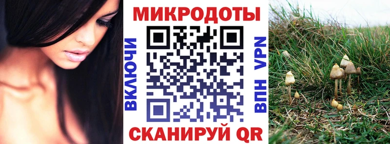 Псилоцибиновые грибы Magic Shrooms  Долгопрудный 