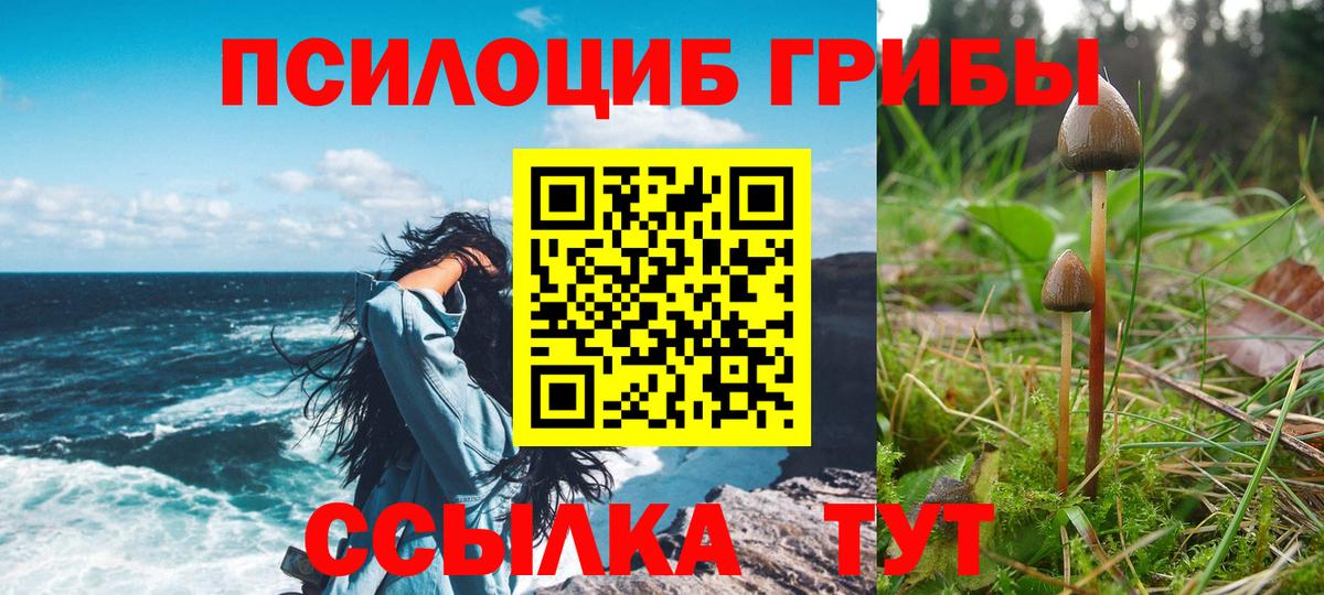 Галлюциногенные грибы Cubensis Долгопрудный