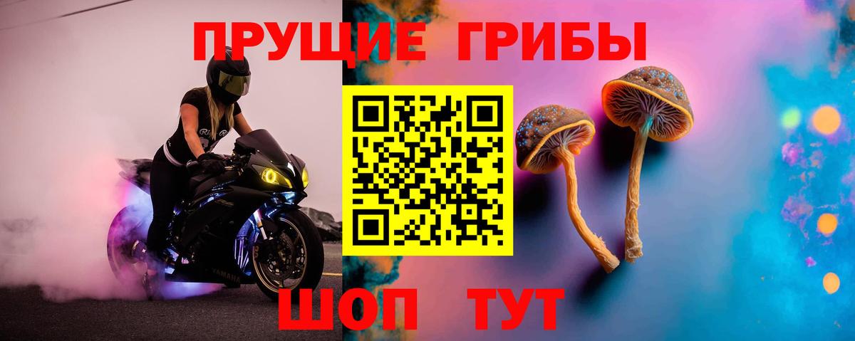 Галлюциногенные грибы Magic Shrooms Долгопрудный
